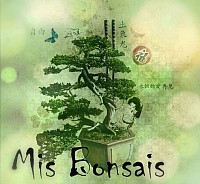 Mi pequeño rincón del bonsai