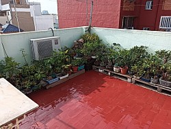 Mi pequeño rincón de arbolitos