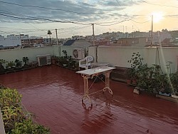 Mi pequeño rincón del bonsai