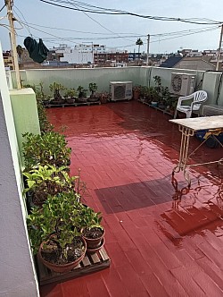 Mi pequeño rincón de los arbolitos