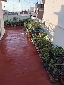 Mí pequeño rincón del bonsai
