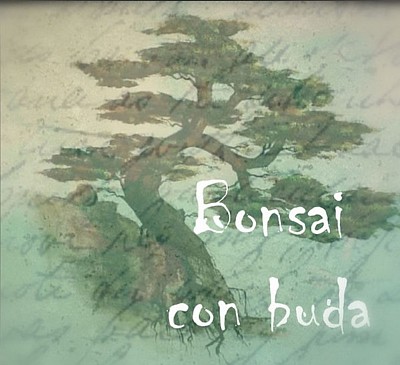 Bonsai con buda